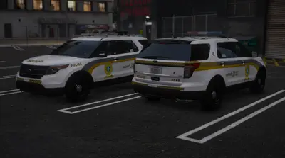 2013 FPIU SQ